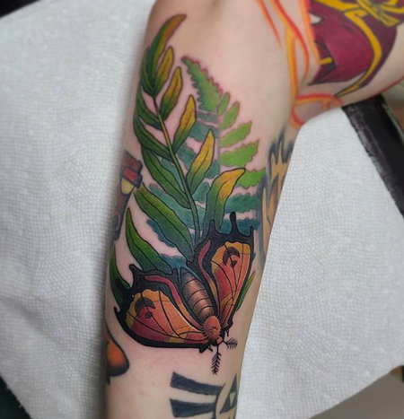 Tattoos - Moth - 142484